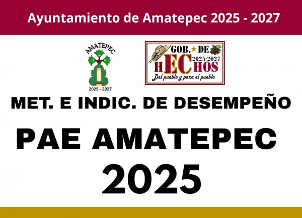 MET. E INDIC. DE DESEMPEÑO PAE