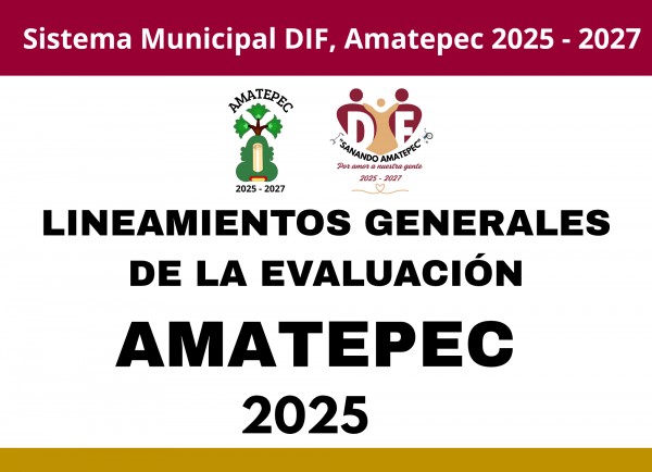 Lineamientos Generales  Evaluación