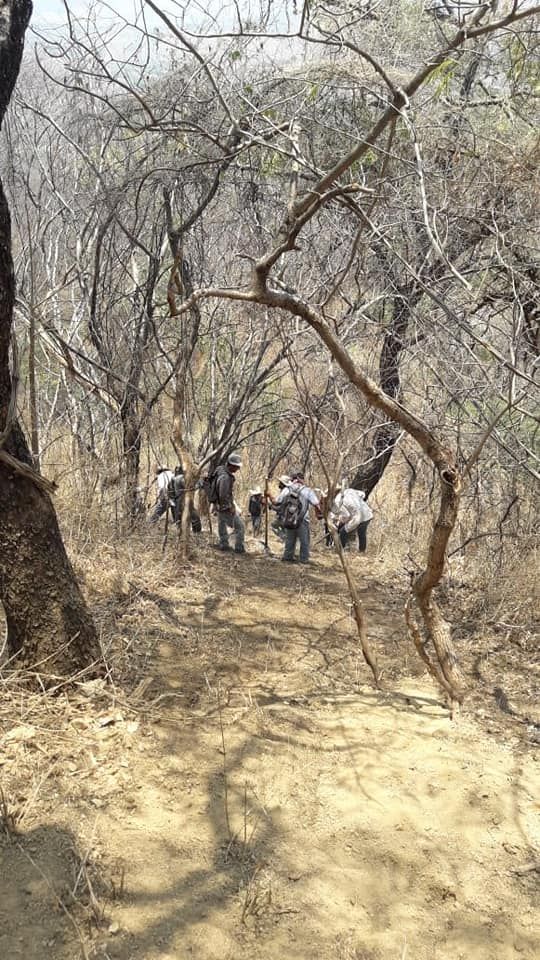 Incendio en Los Sabinos