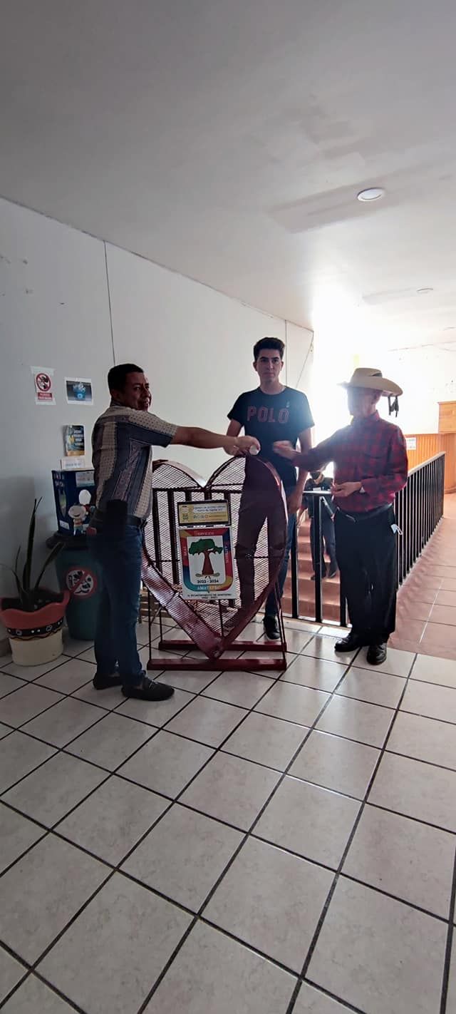 Contenedor de tapitas